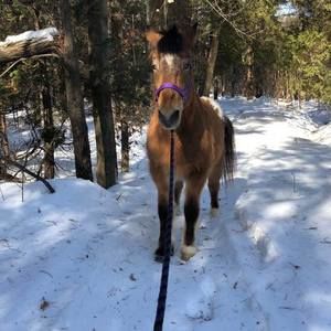 Meet your Posher, Angela